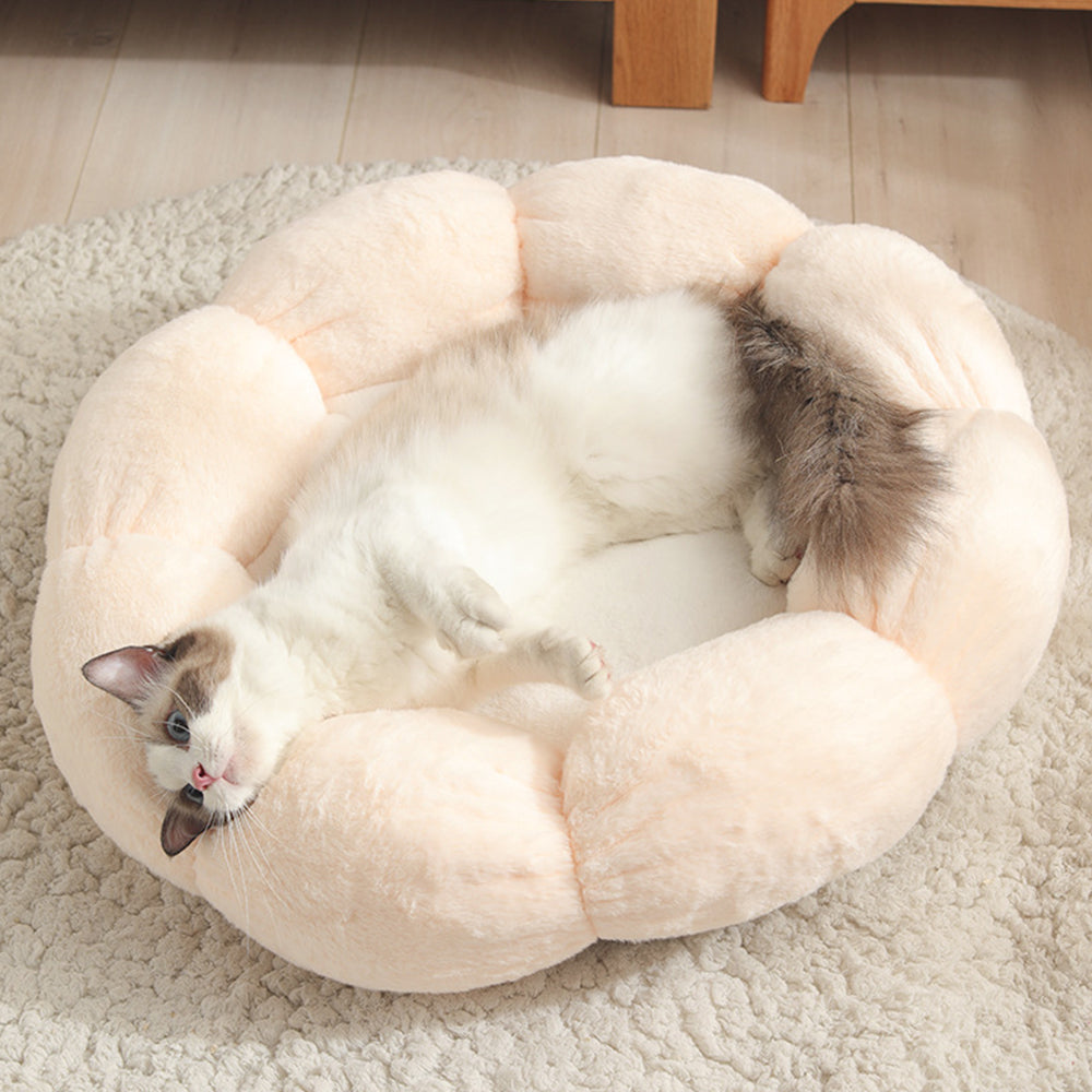 Universal Washable Cat and Dog Bed